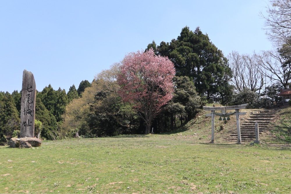 でぃーごさんが投稿した七尾城跡に関する口コミの画像