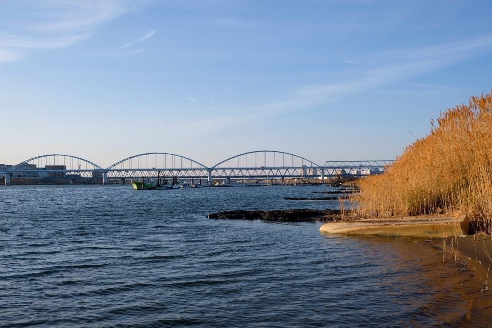 海宗さんが投稿した江戸川河川敷緑地に関する口コミの画像