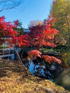 深大寺水車館
