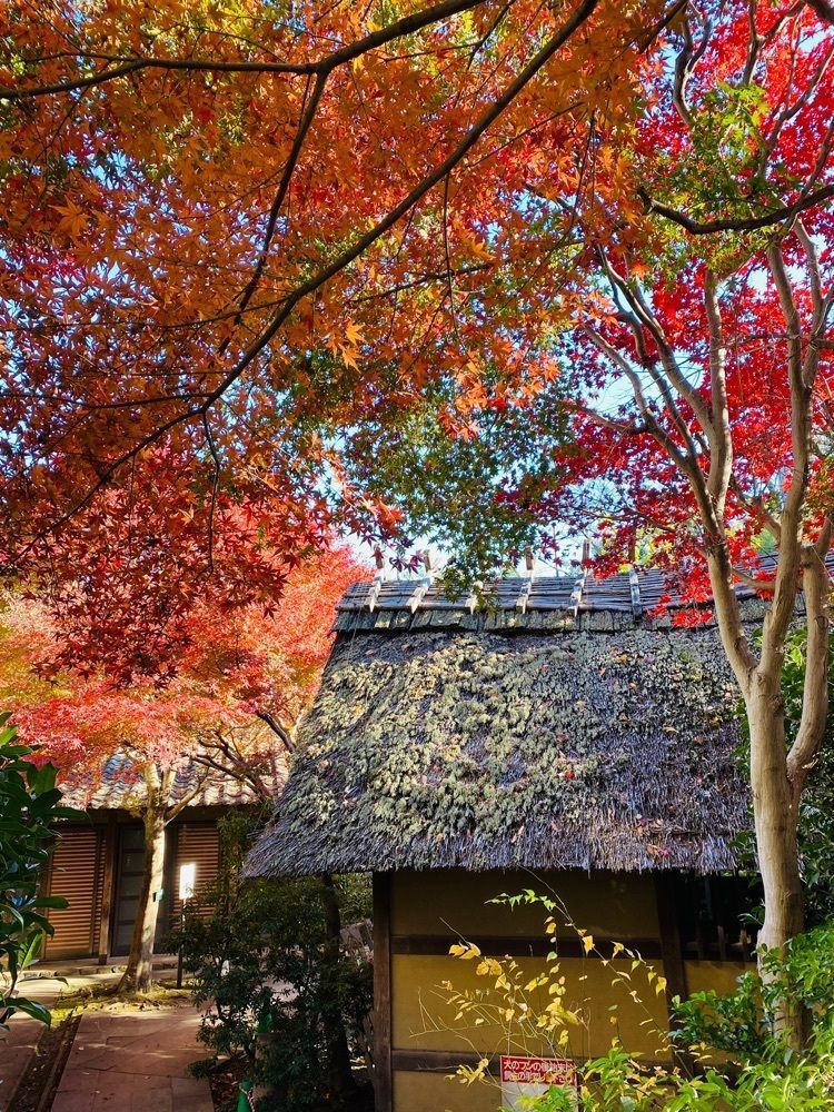 けんけんさんが投稿した深大寺水車館に関する口コミの画像