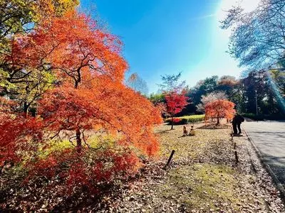 国営武蔵丘陵森林公園 中央口売店
