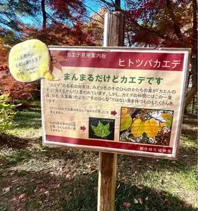国営武蔵丘陵森林公園 植物園売店