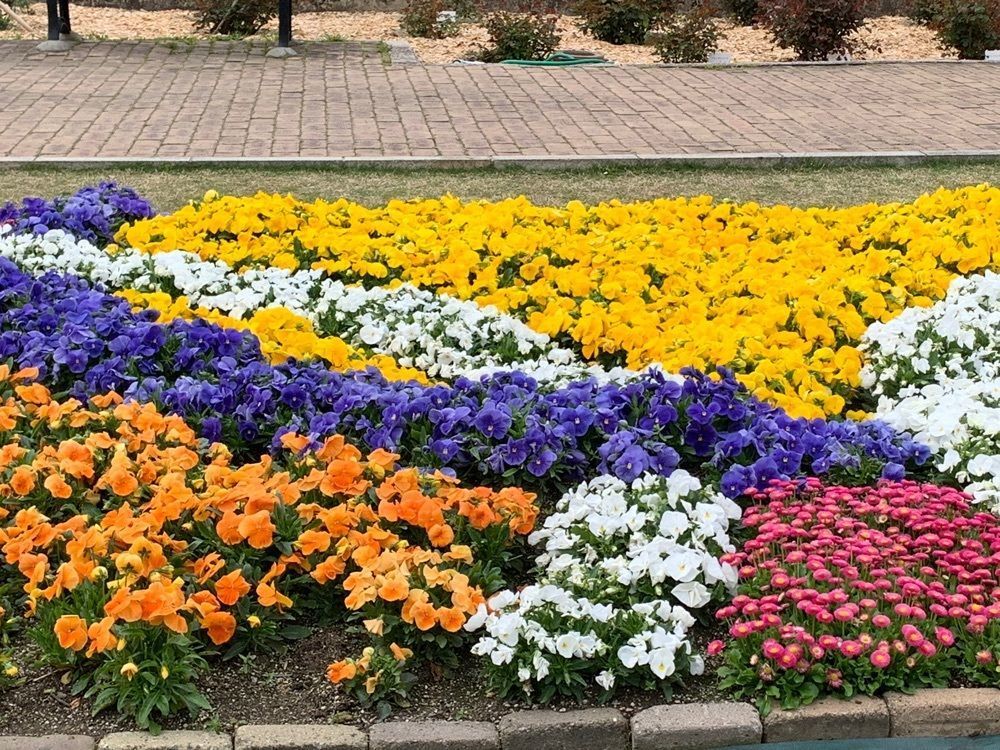 ojochiyuさんが投稿した桃葉庵　京・駿田屋グループに関する口コミの画像