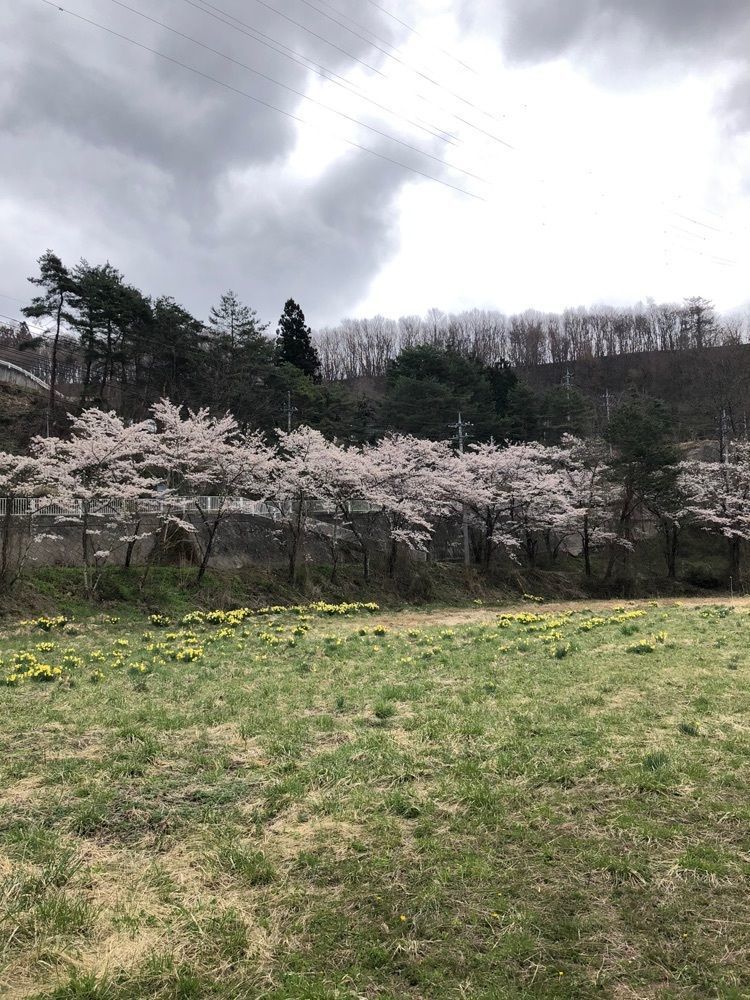 からっ風②さんが投稿したいなかに関する口コミの画像