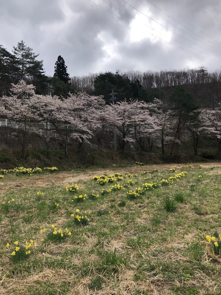 からっ風②さんが投稿したいなかに関する口コミの画像