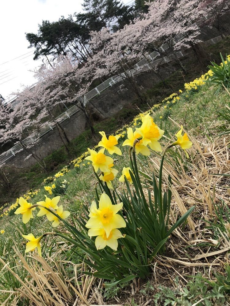 からっ風②さんが投稿したいなかに関する口コミの画像
