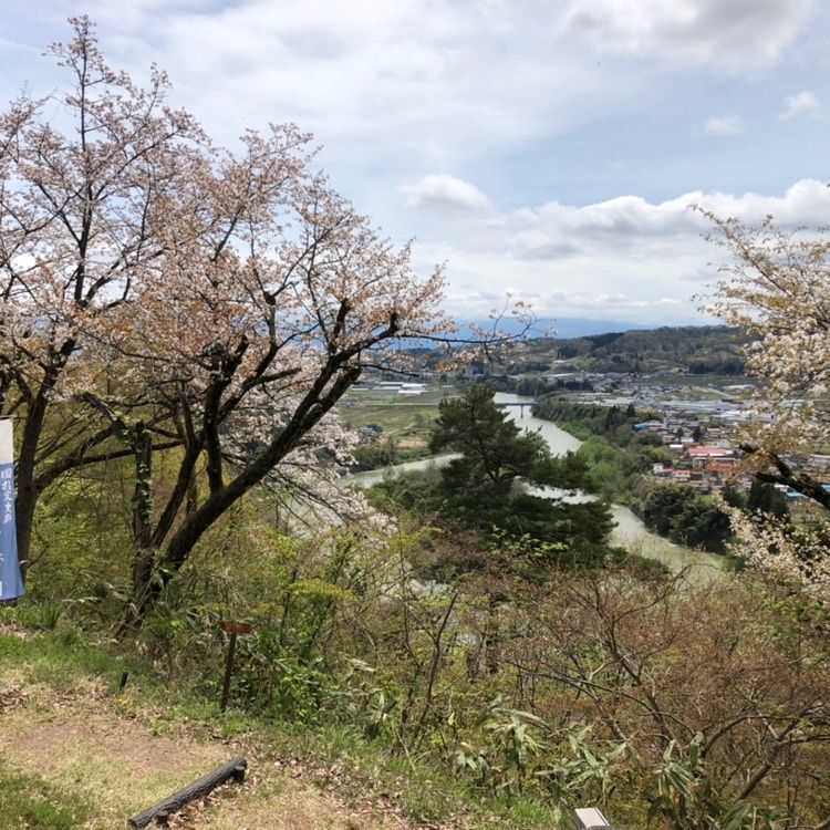 タッキーさんが投稿した左沢楯山城跡に関する口コミの画像