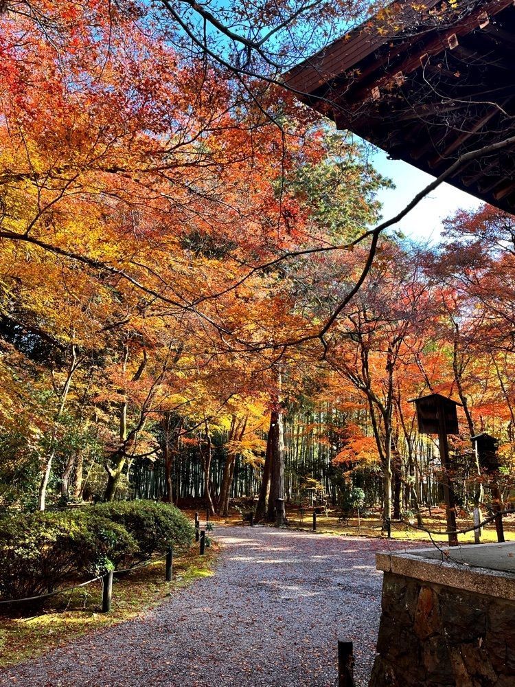 freedom さんが投稿した西芳寺（苔寺）に関する口コミの画像