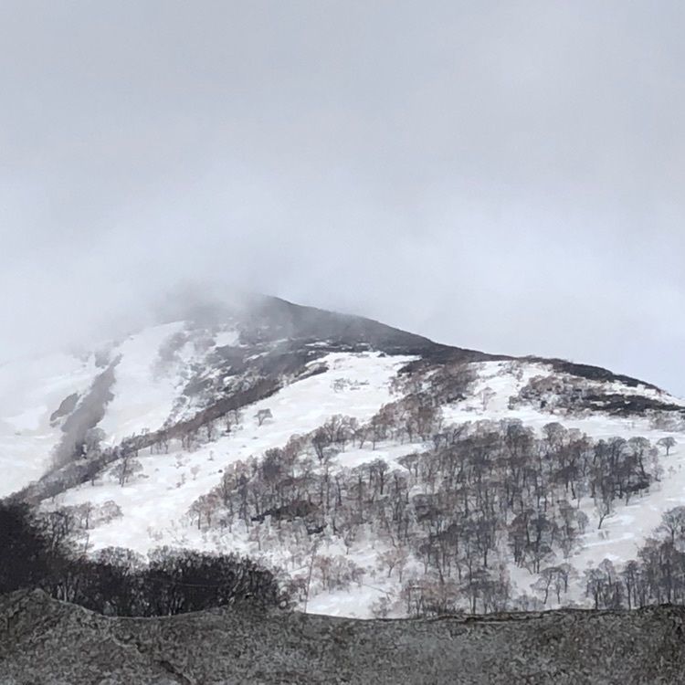 タッキーさんが投稿した月山に関する口コミの画像