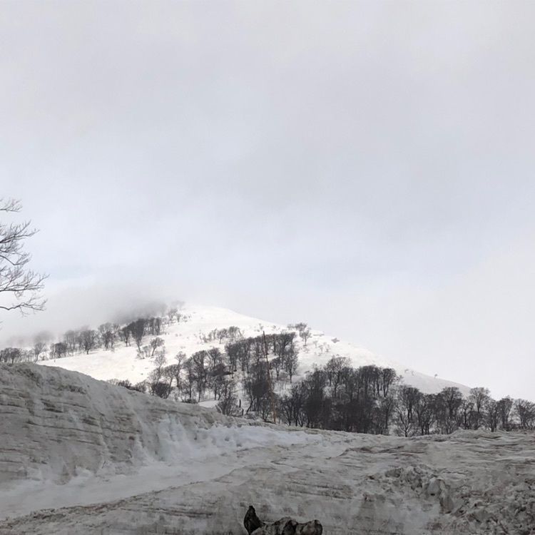 タッキーさんが投稿した月山に関する口コミの画像