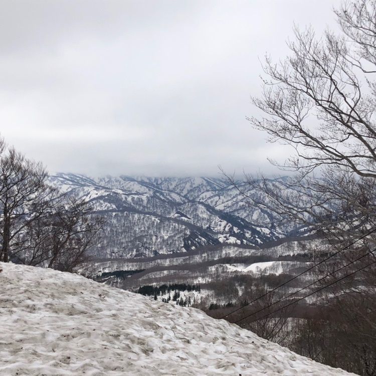 タッキーさんが投稿した月山に関する口コミの画像