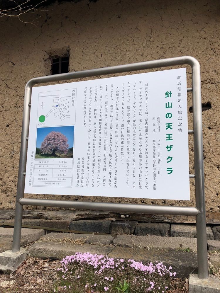 からっ風②さんが投稿した針山のザゼンソウ群落に関する口コミの画像