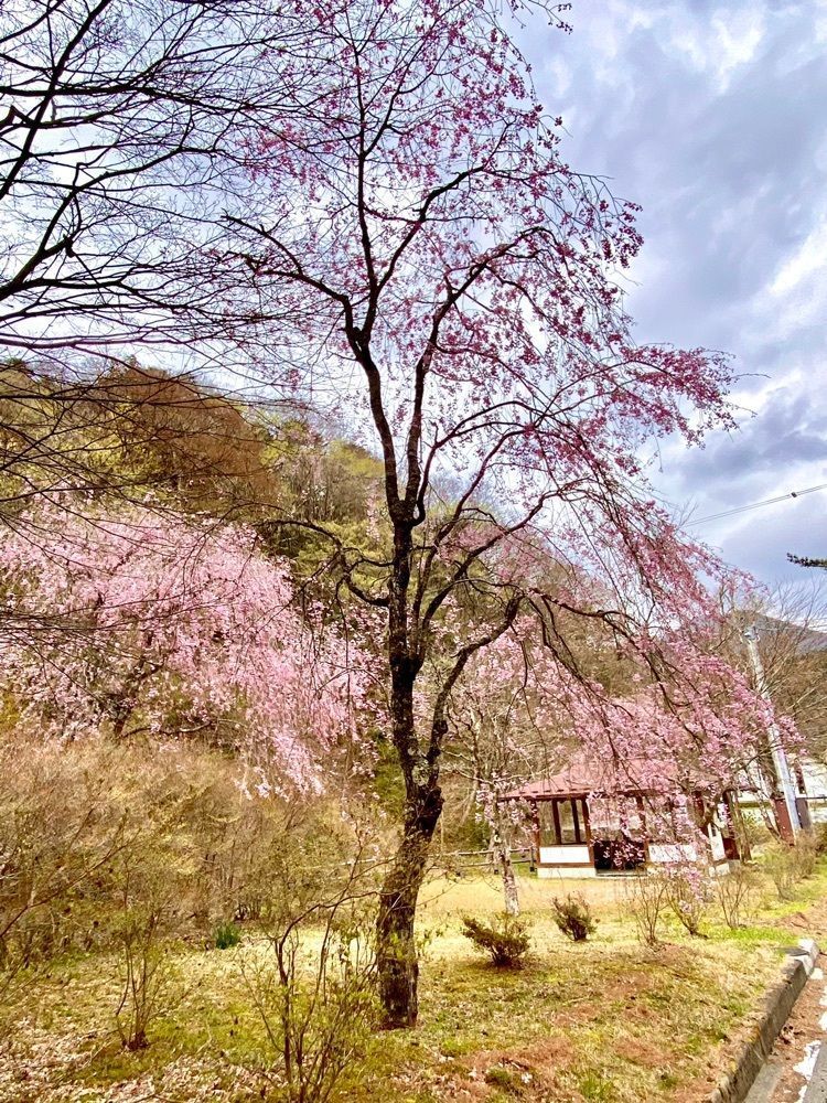 さんぴん茶さんが投稿した板室健康のゆグリーングリーンに関する口コミの画像
