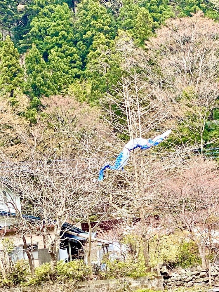 さんぴん茶さんが投稿した板室健康のゆグリーングリーンに関する口コミの画像