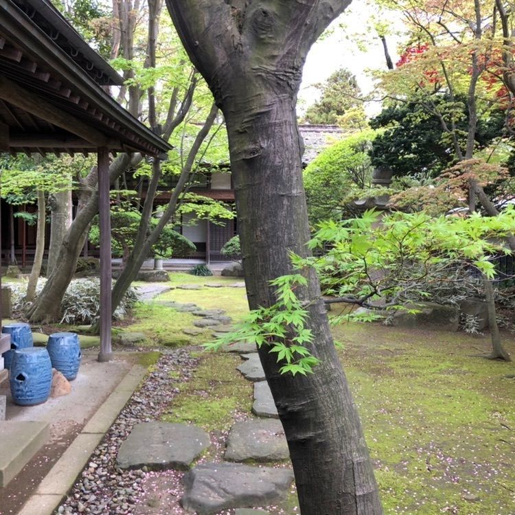 タッキーさんが投稿した旧風間家住宅「丙申堂」に関する口コミの画像
