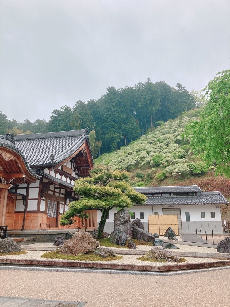 Natsuさんが投稿した大龍寺だるま供養に関する口コミの画像