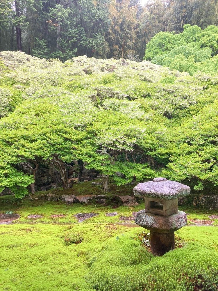 Natsuさんが投稿した大龍寺だるま供養に関する口コミの画像