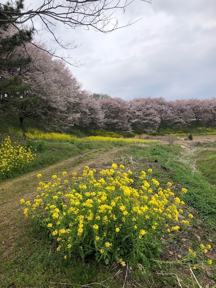 からっ風②さんが投稿した岡谷温泉かねまんやすらぎセンターに関する口コミの画像