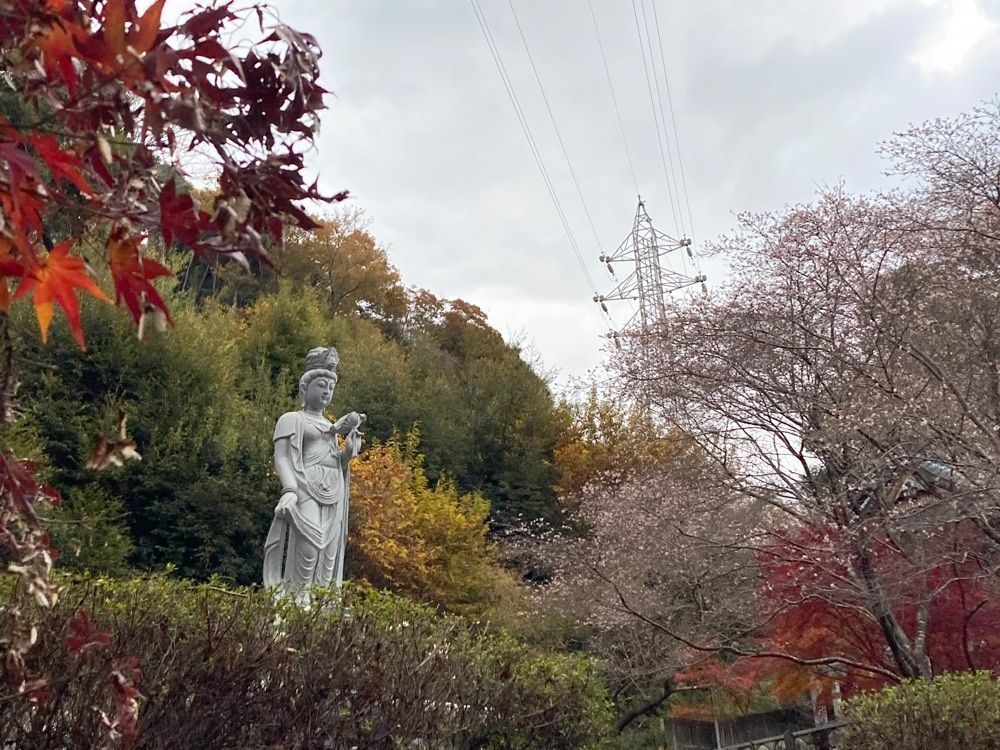 Howl Monさんが投稿した光明寺に関する口コミの画像