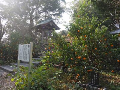 清瀧寺（静岡県浜松市） 5枚目