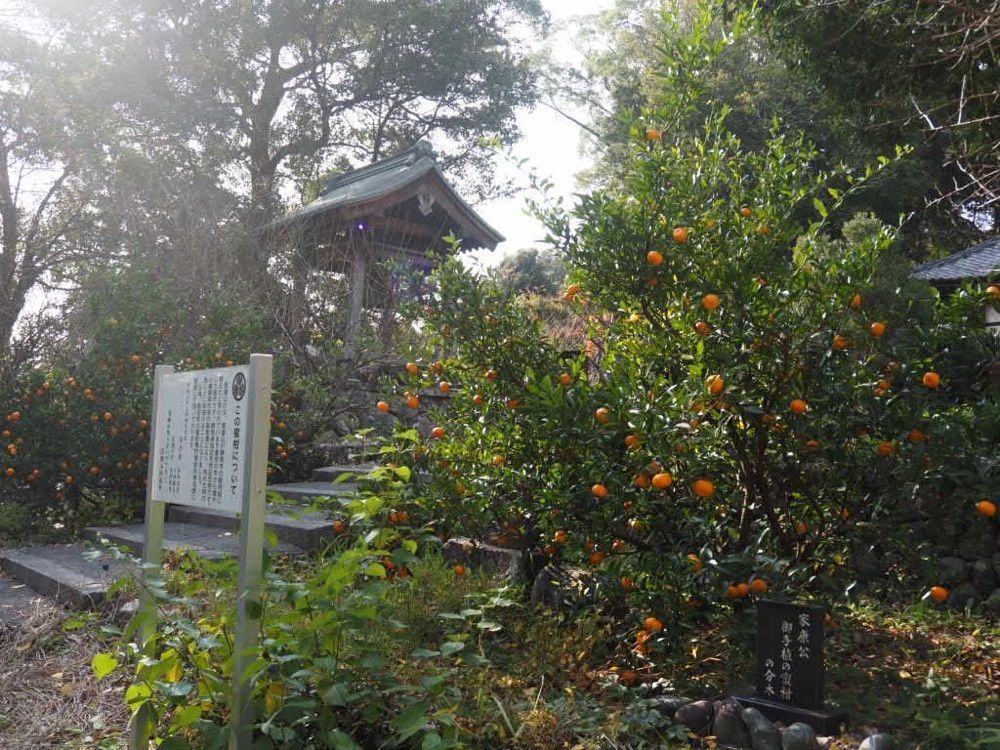 Howl Monさんが投稿した清瀧寺（静岡県浜松市）に関する口コミの画像