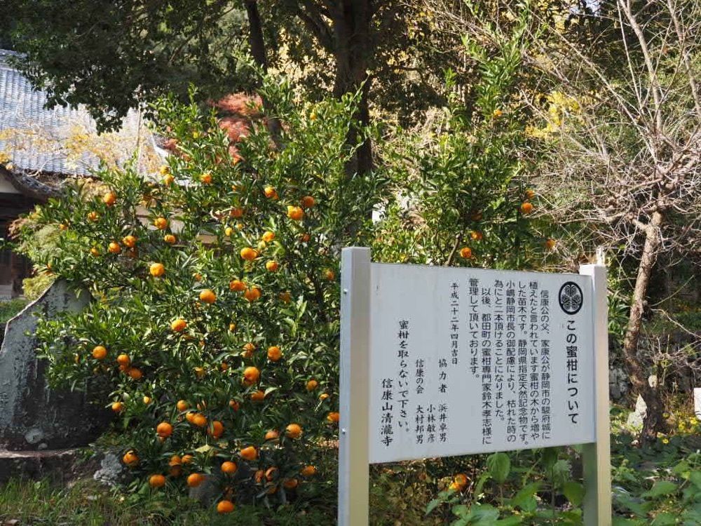 Howl Monさんが投稿した清瀧寺（静岡県浜松市）に関する口コミの画像