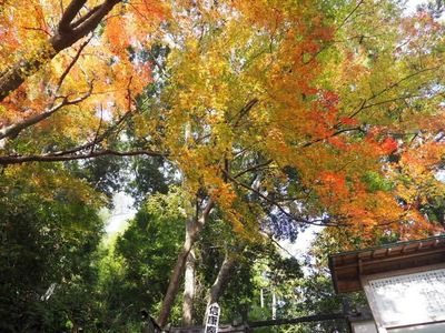 清瀧寺（静岡県浜松市） 8枚目