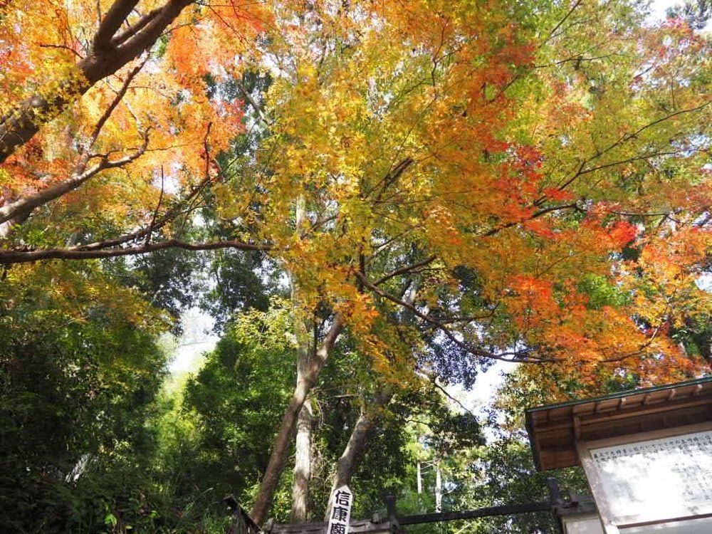 Howl Monさんが投稿した清瀧寺（静岡県浜松市）に関する口コミの画像