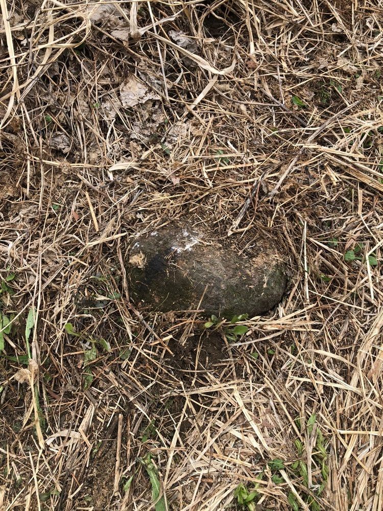 からっ風②さんが投稿した香里園に関する口コミの画像