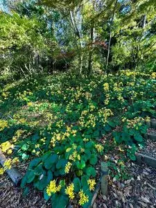 城山庵 お憩み処
