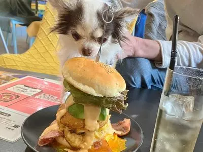 Tumbleweed burgers cafe 本店（タンブルヴィード バーガーズ カフェ）