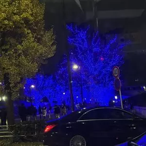 公園通り