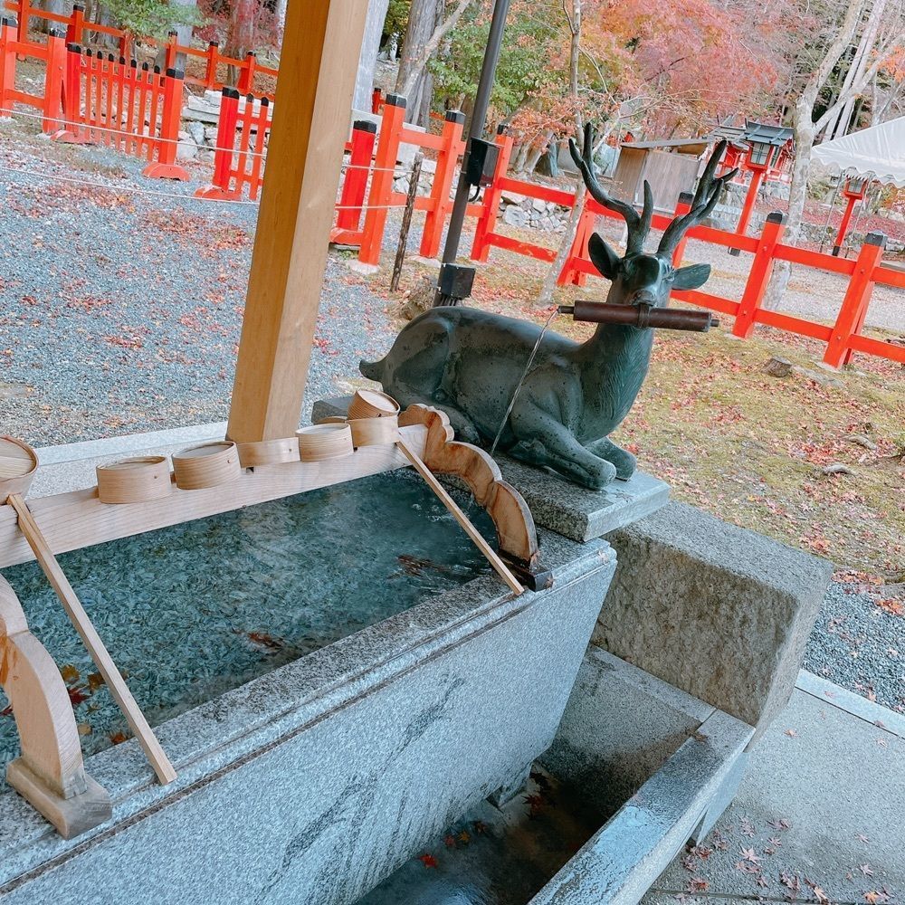 Danjouさんが投稿した大原野神社に関する口コミの画像