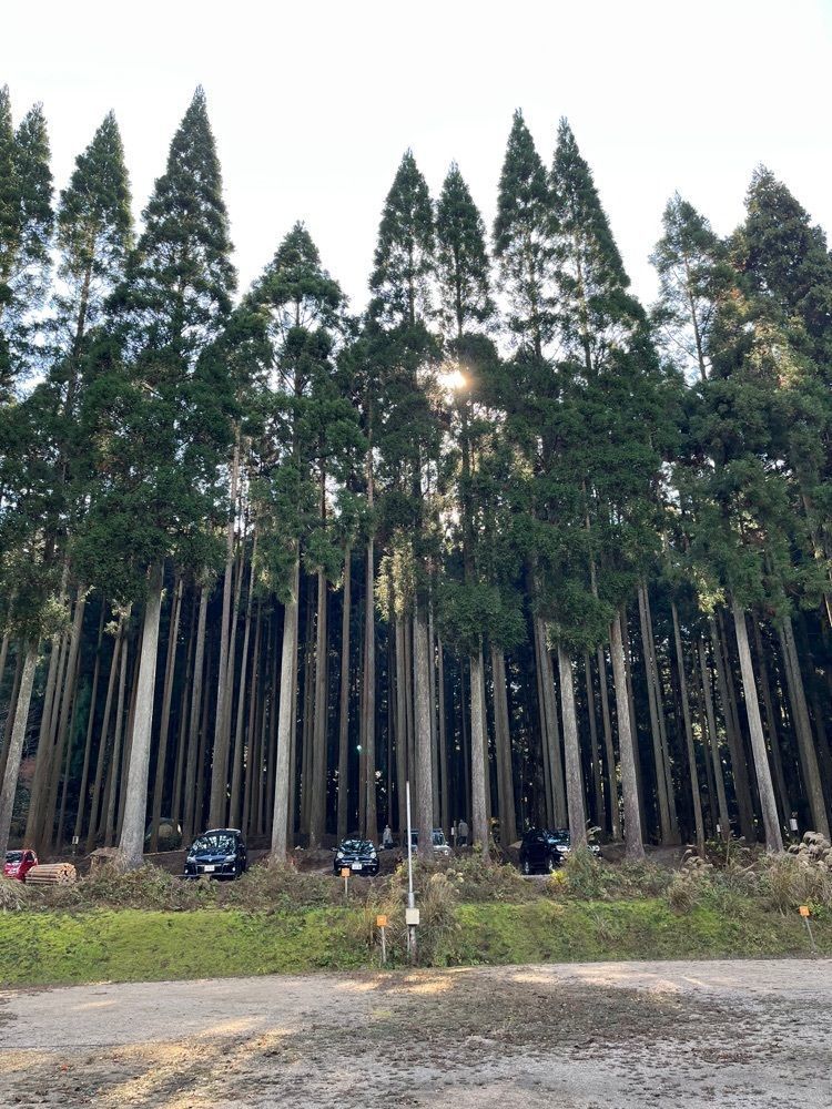 raika.n1808さんが投稿したかぶとの森テラスに関する口コミの画像