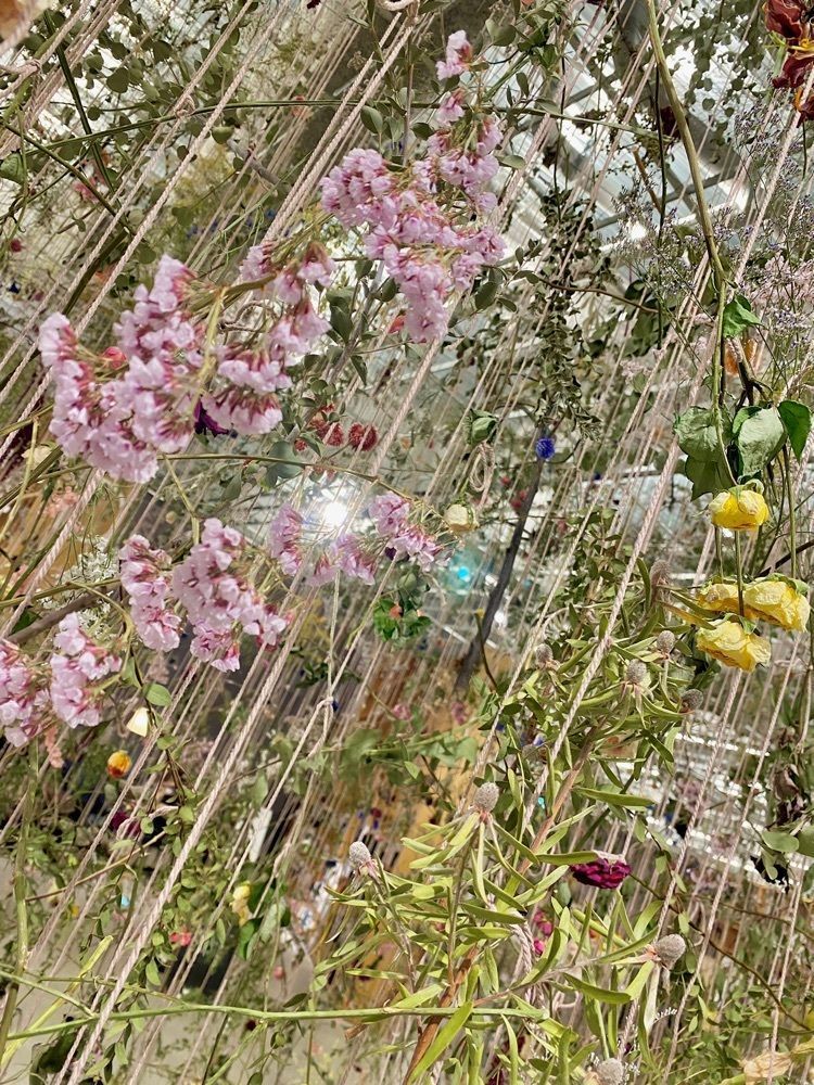 calm_gift_1030さんが投稿したモリコーネに関する口コミの画像
