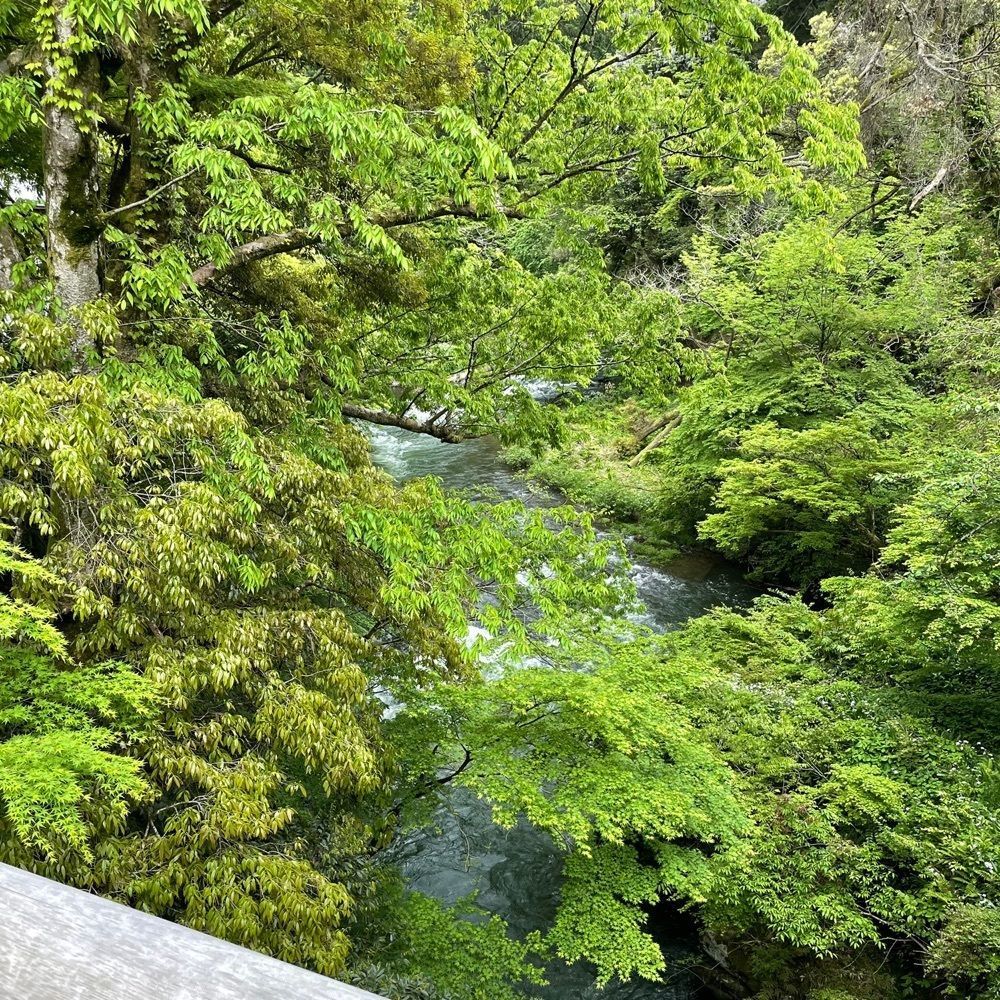 iccyan777さんが投稿したこおろぎ橋に関する口コミの画像