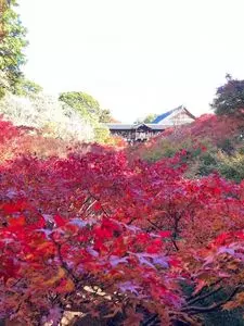 東福寺（京都府京都市）