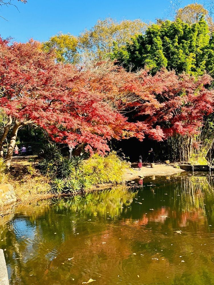 ビンカさんが投稿した震生湖に関する口コミの画像