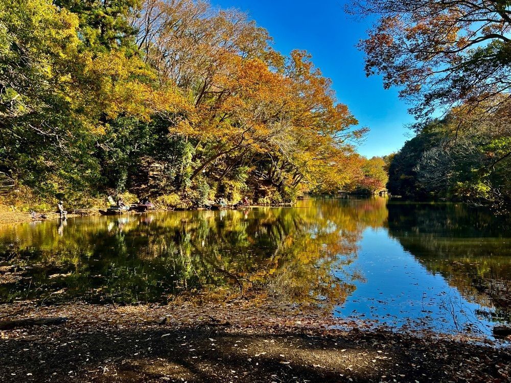 ビンカさんが投稿した震生湖に関する口コミの画像