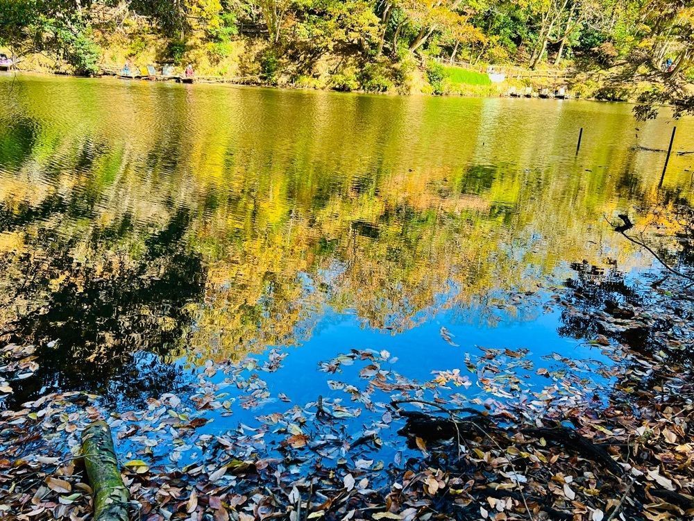 ビンカさんが投稿した震生湖に関する口コミの画像