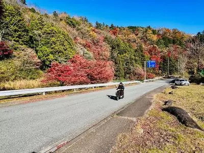 足柄古道万葉うどん