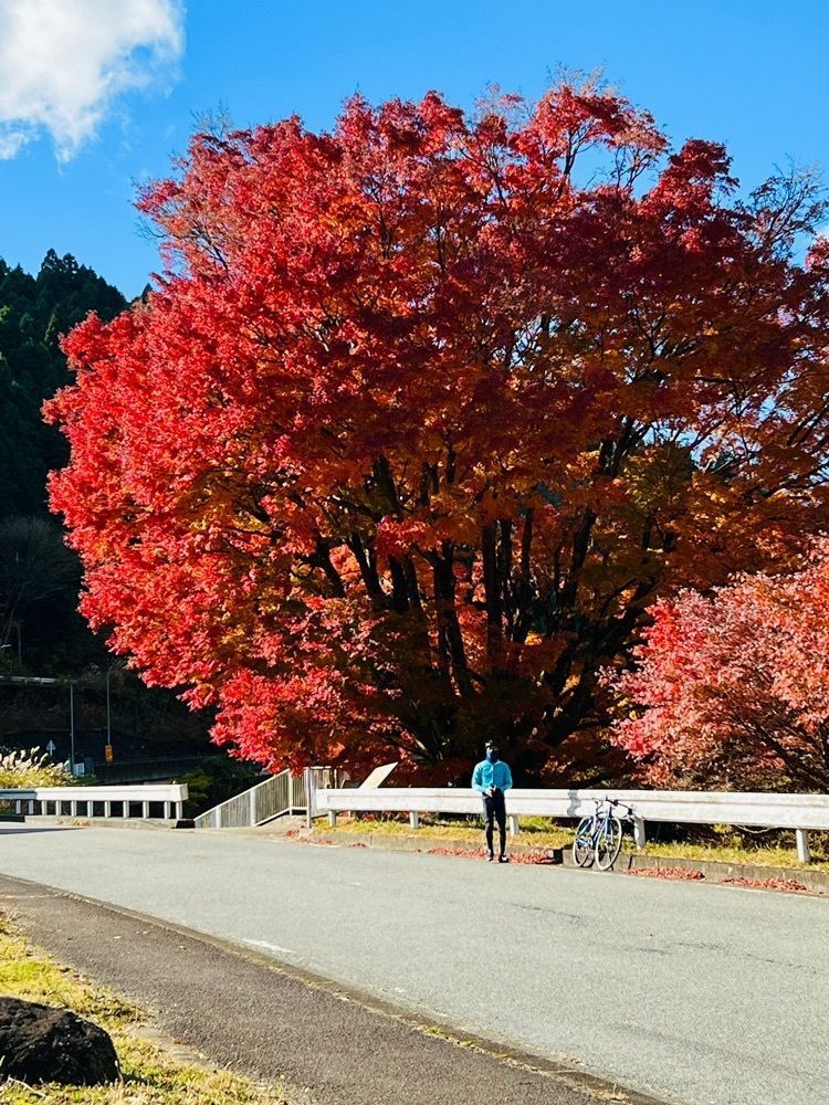 ビンカさんが投稿した足柄古道万葉うどんに関する口コミの画像