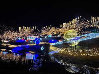 国営備北丘陵公園 4枚目