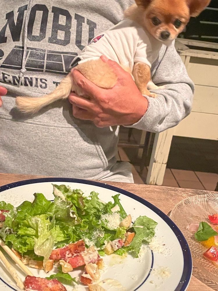 志保さんが投稿したバグースバー 芝浦アイランド（BAGUS BAR）に関する口コミの画像