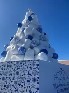 アリタセラ