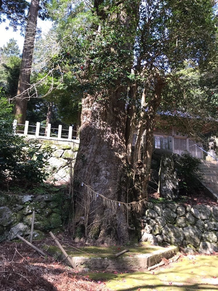 famous_walking_746fさんが投稿した雷神社に関する口コミの画像