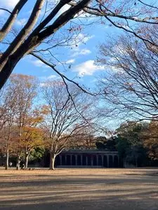茅ヶ崎市中央公園