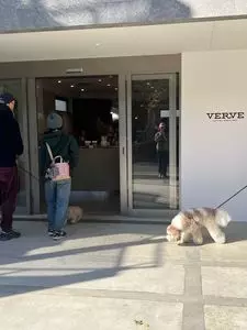 VERVE COFFEE ROASTERS YOYOGI PARK（ヴァーヴ コーヒー ロースターズ）