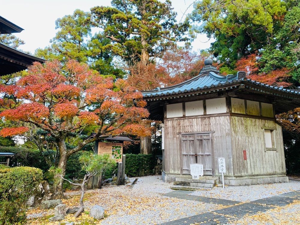 たまさんが投稿した太龍寺に関する口コミの画像