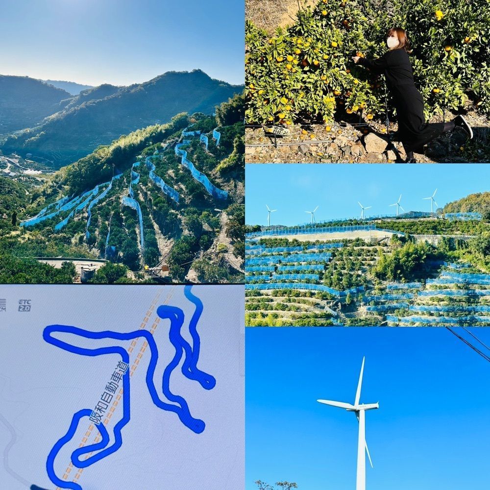 ぺたこ♡さんが投稿した有田川明恵峡に関する口コミの画像
